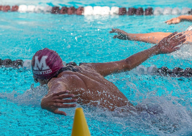 Photo Courtesy: Daves Sports Image