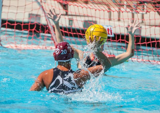 South Coast Conference Women's Water Polo Honors