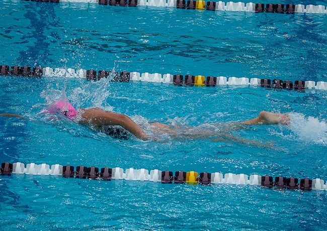 Photo Courtesy: Daves Sports Image